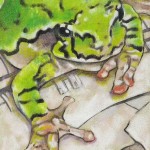 Coloured pencil drawing of Grey Tree Frog on paper