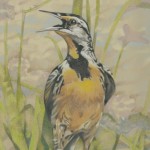 Coloured pencil drawing of Eastern Meadowlark on muted green and lilac background